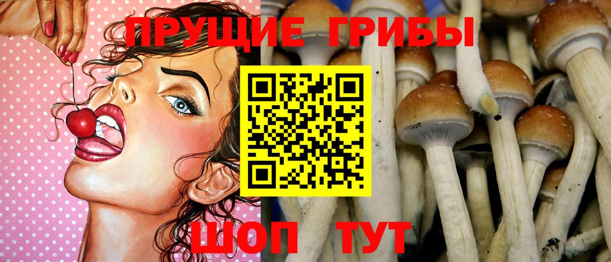 Псилоцибиновые грибы Magic Shrooms  Вход с VPN  Псилоцибиновые грибы Magic Shrooms  Нижневартовск 