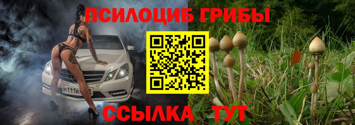 Псилоцибиновые грибы прущие грибы Нижневартовск